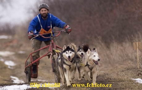 Hustopece 06 - 012.jpg